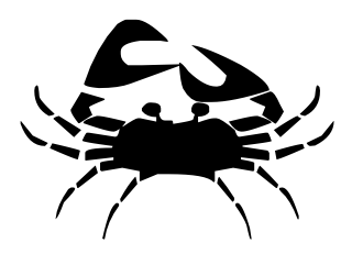 CANCER  22/06-22/07