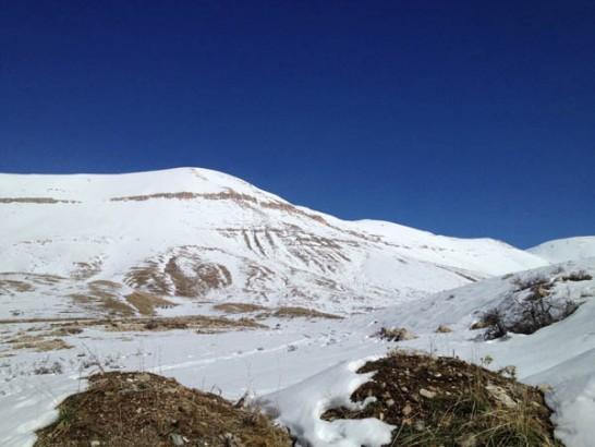 bcharre