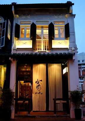 Kiku Front View