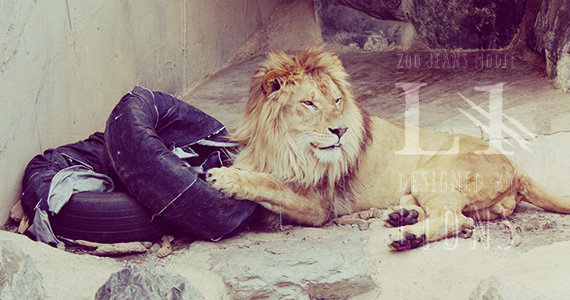 Lion designs the distressed jeans