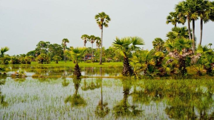 Aqua Mekong