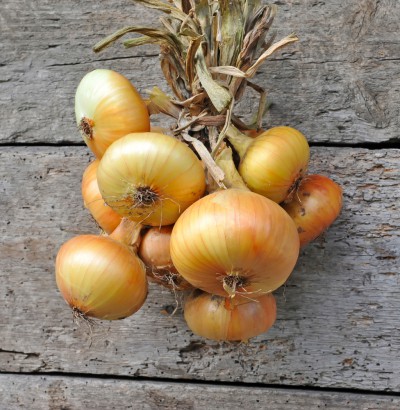 Onions