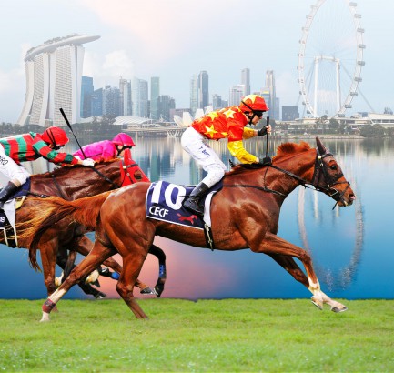 China Equine Cultural Festival (CECF)