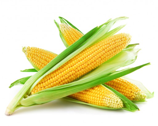 Corn