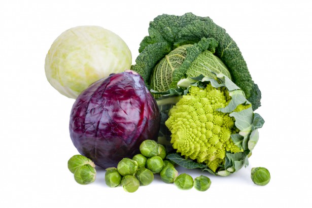 Cabbage
