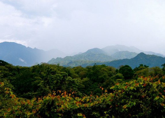 Birdwatching at the West Bali National Park