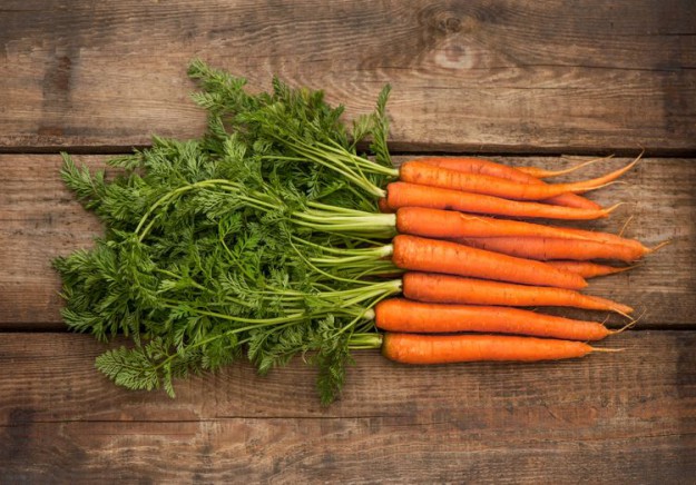 Les carottes se conservent à l'air ambiant pendant 2 jours mais peuvent s'abîmer si elles sont à proximité de pommes de terre ou de poires. Par contre, elles restent sans problèmes 15 jours au frigo. 