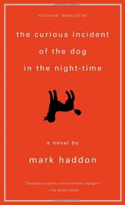 The Curious Incident of the Dog in the Night-time by Mark Haddon