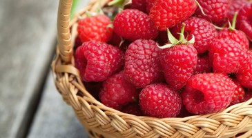 fruits et légumes