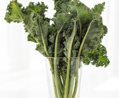 Kale: Is is good or bad for you?