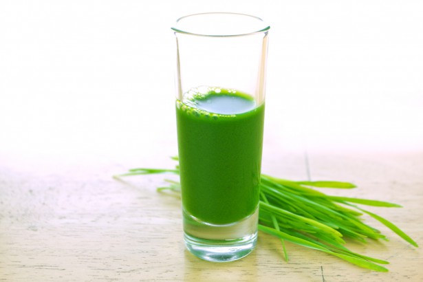 Wheatgrass