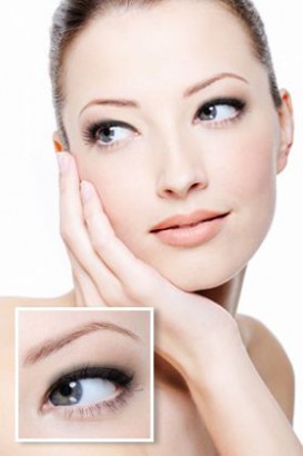 Top Lashline