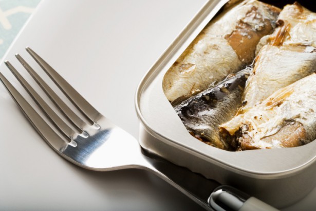 Sardines