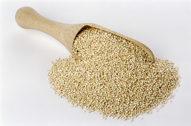 Quinoa