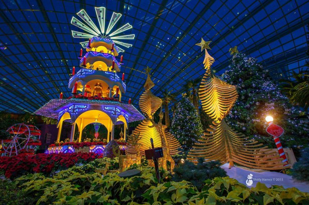Gardens by the Bay   