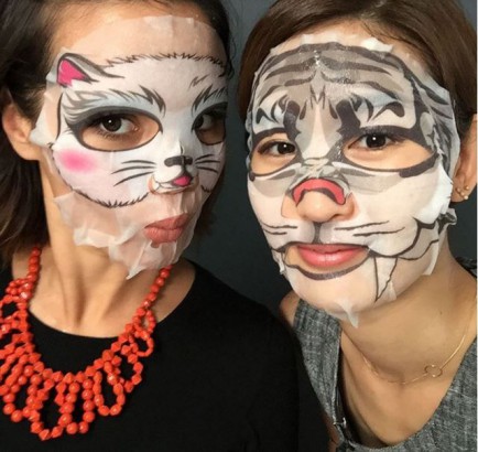 Animal sheet masks