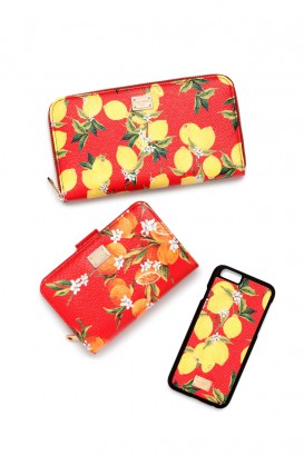 Dolce & Gabbana CNY collection