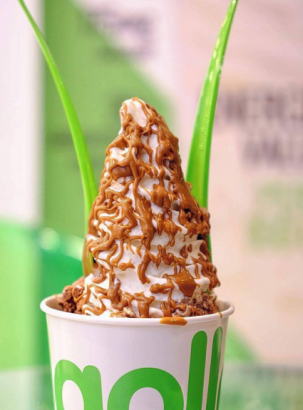 Llao Llao Frozen Yoghurt
