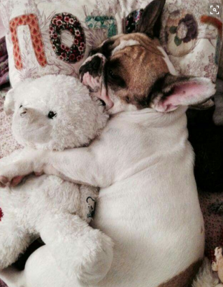 Do not touch my toy