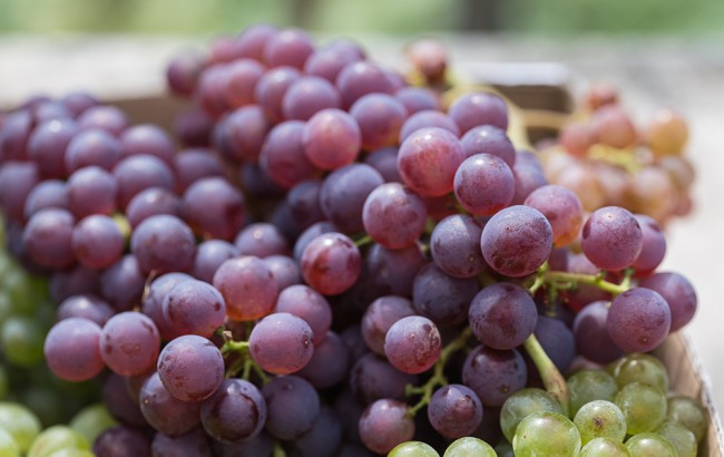 Red grapes