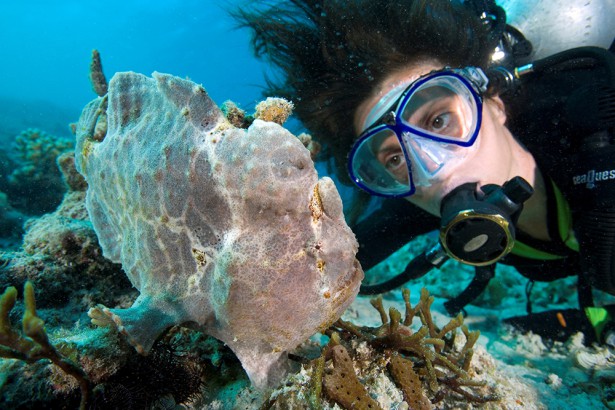 Diving and snorkeling