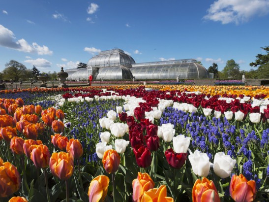 Kew Gardens, London