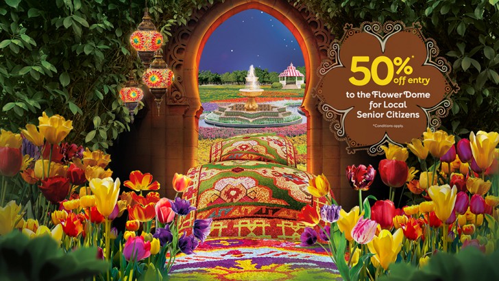 Tulipmania