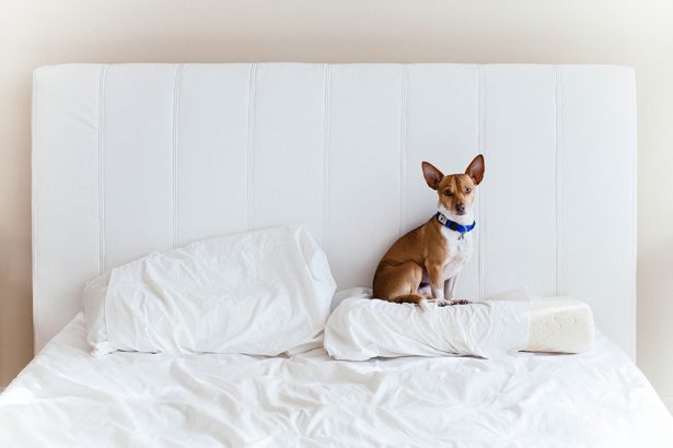 Not changing pillowcases regularly