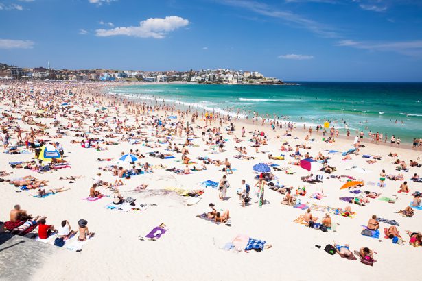 Spend the day at the beach