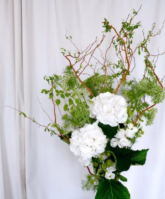 Ask a French Flowers