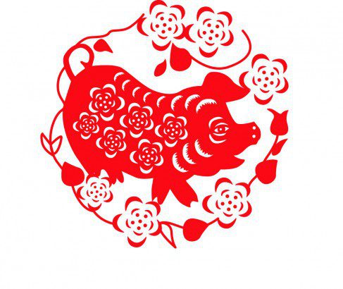 Pig