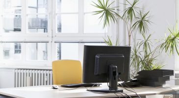 4 Good reasons why you should have plants in your office