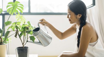 5 Effective ways to save water while doing household chores