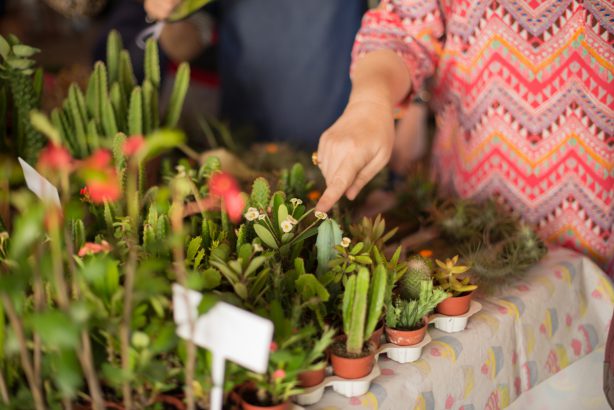 Kranji Countryside Farmer's Market