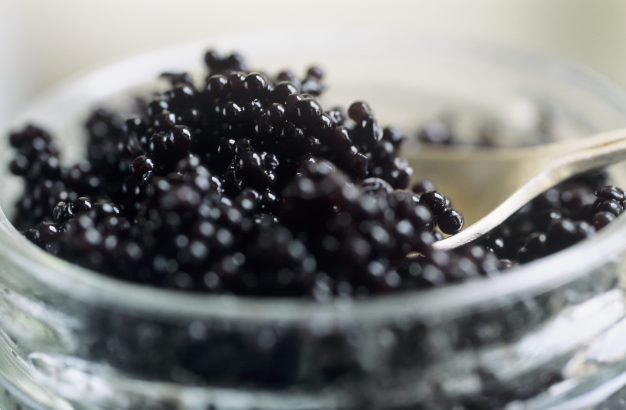 Caviar