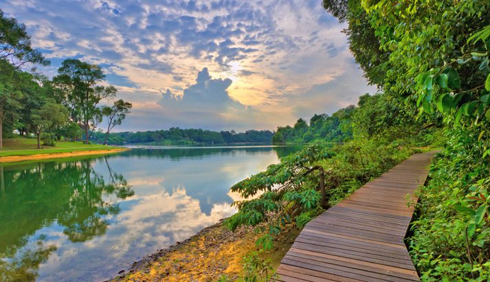 MacRitchie Reservoir Park