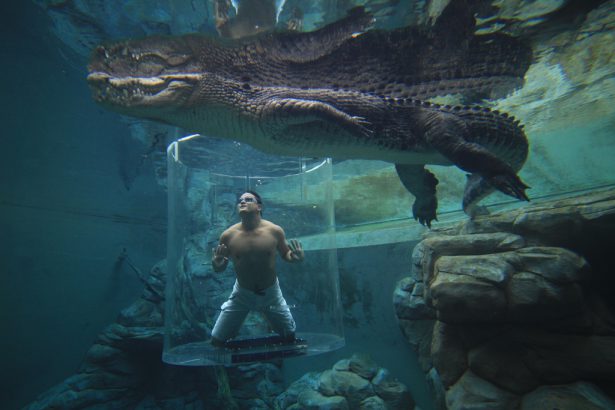 Crocosaurus Cove (Darwin,Australia)