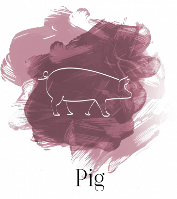 Pig
