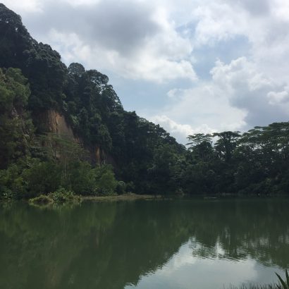Bukit Timah Nature Reserve