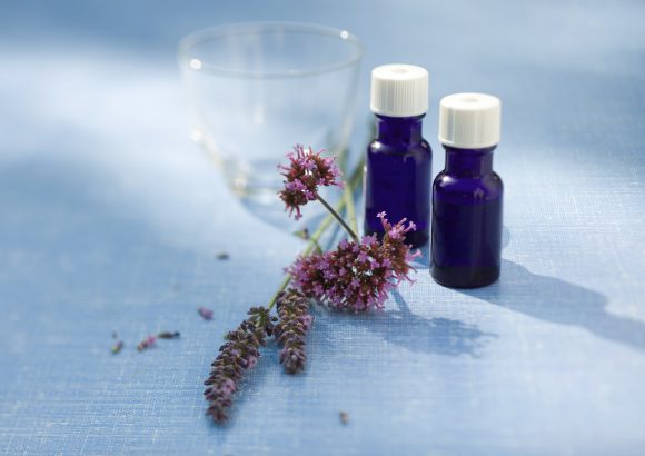 1 Lavender