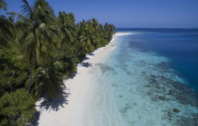 Who’d want to miss their beaches?