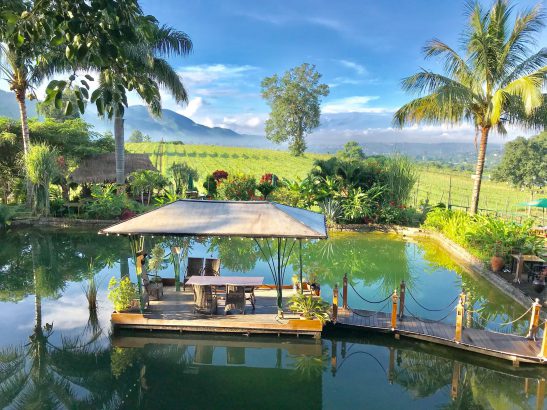 Aythaya Vineyard (Myanmar)